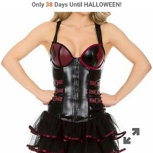Harley Quinn costume NWOT